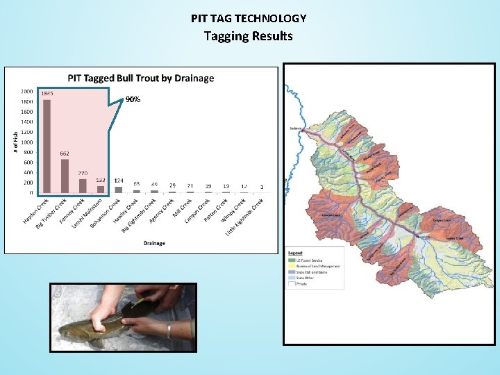 PIT TAG TECHNOLOGY Tagging Results 90% 