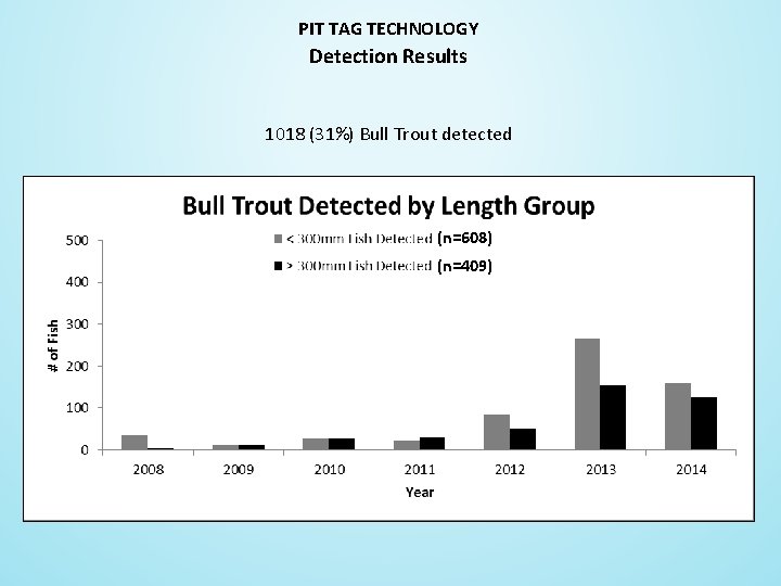 PIT TAG TECHNOLOGY Detection Results 1018 (31%) Bull Trout detected (n=608) (n=409) 