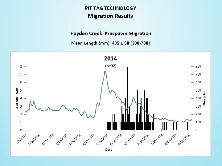 PIT TAG TECHNOLOGY Migration Results Hayden Creek Prespawn Migration Mean Length (mm): 435 ±