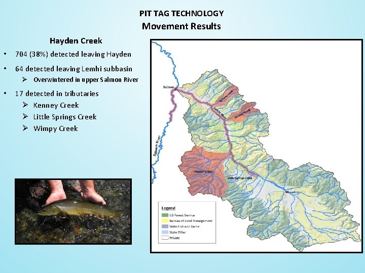 PIT TAG TECHNOLOGY Movement Results Hayden Creek • 704 (38%) detected leaving Hayden •