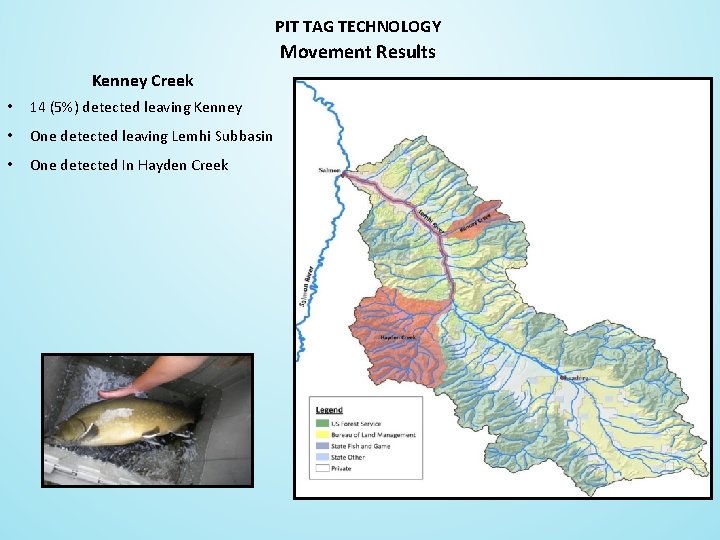 PIT TAG TECHNOLOGY Movement Results Kenney Creek • 14 (5%) detected leaving Kenney •