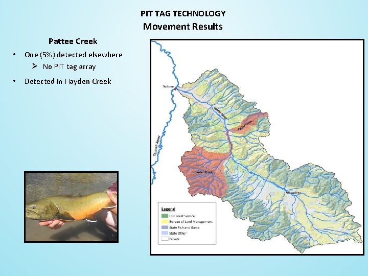 PIT TAG TECHNOLOGY Movement Results Pattee Creek • One (5%) detected elsewhere Ø No