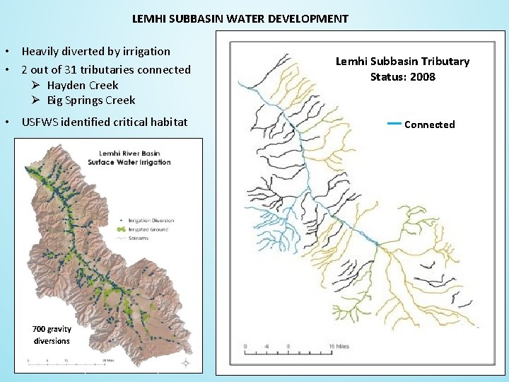LEMHI SUBBASIN WATER DEVELOPMENT • Heavily diverted by irrigation • 2 out of 31