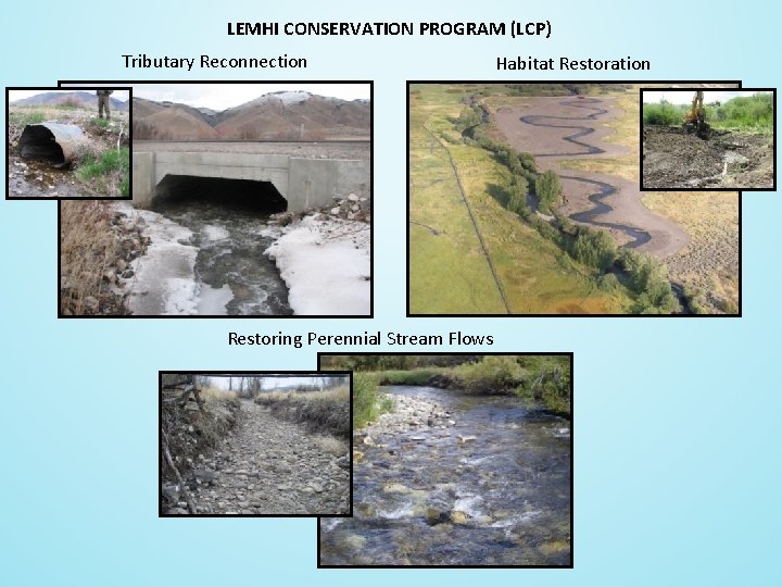 LEMHI CONSERVATION PROGRAM (LCP) Tributary Reconnection Restoring Perennial Stream Flows Habitat Restoration 