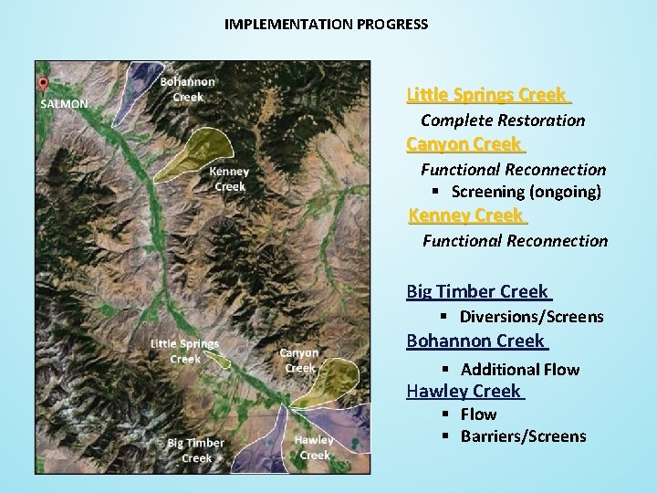 IMPLEMENTATION PROGRESS Little Springs Creek Complete Restoration Canyon Creek Functional Reconnection § Screening (ongoing)