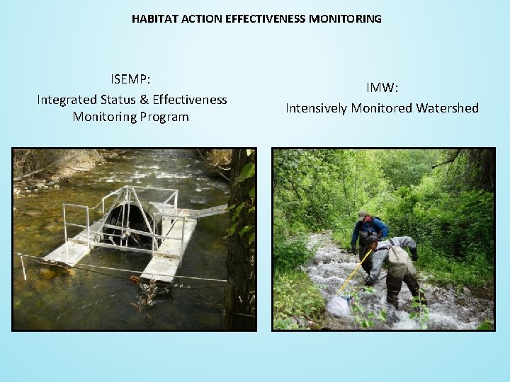 HABITAT ACTION EFFECTIVENESS MONITORING ISEMP: Integrated Status & Effectiveness Monitoring Program IMW: Intensively Monitored