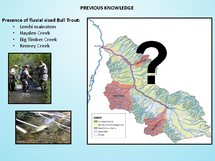 PREVIOUS KNOWLEDGE Presence of fluvial sized Bull Trout: • Lemhi mainstem • Hayden Creek