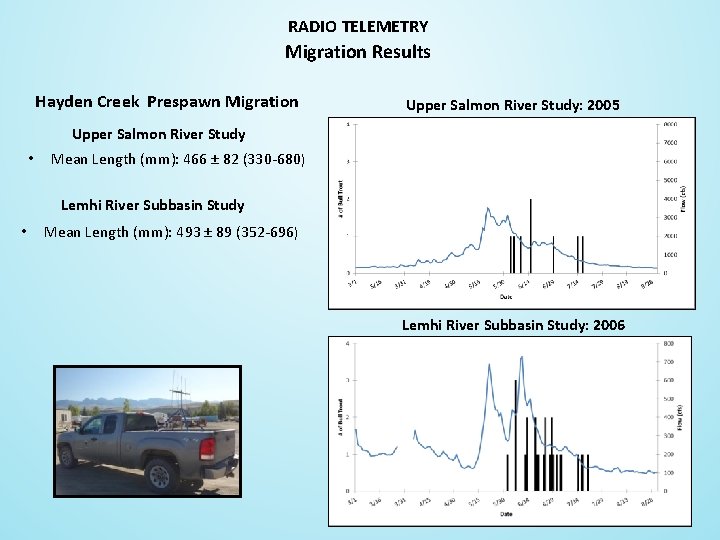 RADIO TELEMETRY Migration Results Hayden Creek Prespawn Migration Upper Salmon River Study: 2005 Upper