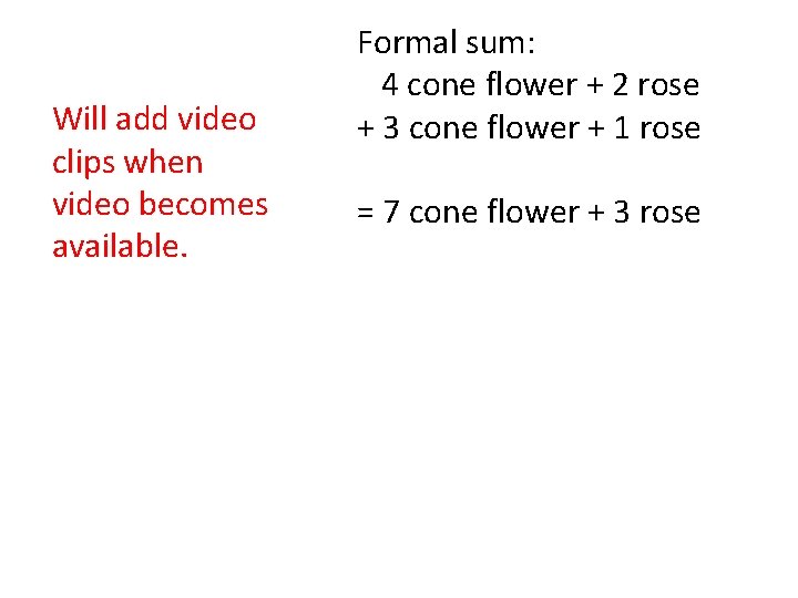 Will add video clips when video becomes available. Formal sum: 4 cone flower +