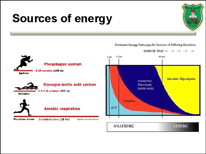 Sources of energy Sources of energy