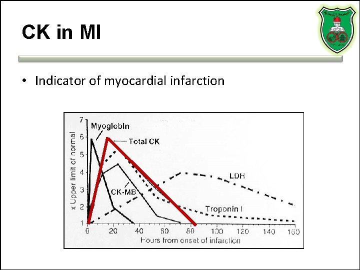 CK in MI • Indicator of myocardial infarction CK in MI • Indicator of myocardial infarction