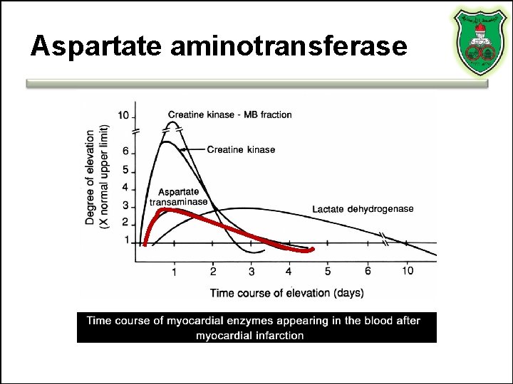 Aspartate aminotransferase Aspartate aminotransferase