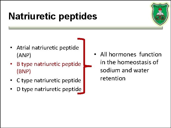 Natriuretic peptides • Atrial natriuretic peptide (ANP) • B type natriuretic peptide (BNP) • Natriuretic peptides • Atrial natriuretic peptide (ANP) • B type natriuretic peptide (BNP) •