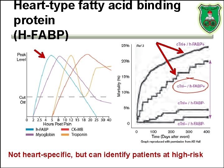 Heart-type fatty acid binding protein (H-FABP) Not heart-specific, but can identify patients at high-risk Heart-type fatty acid binding protein (H-FABP) Not heart-specific, but can identify patients at high-risk