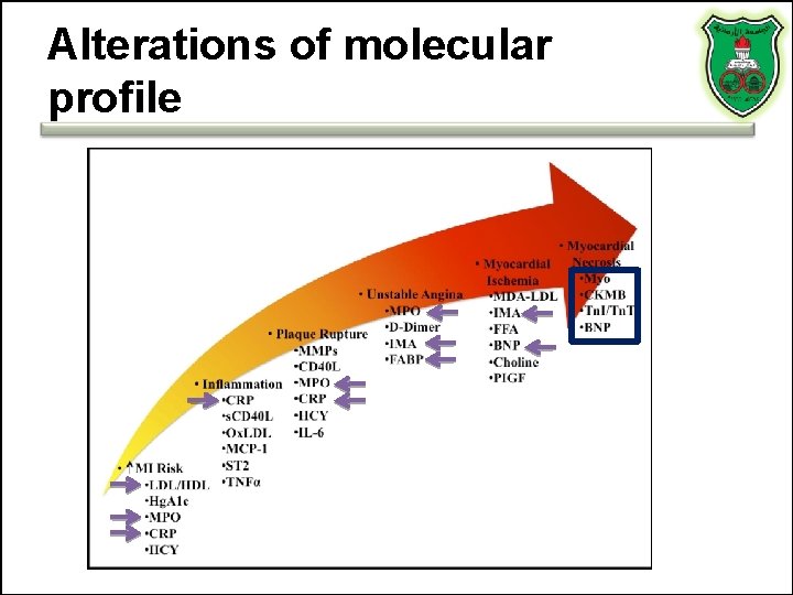 Alterations of molecular profile Alterations of molecular profile