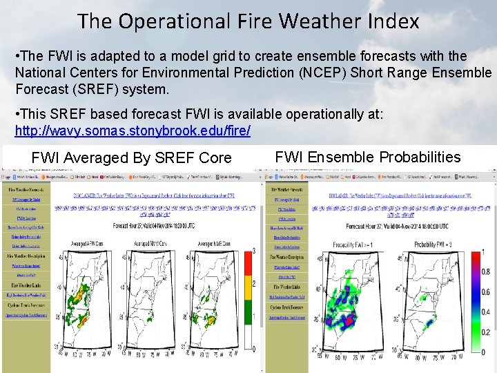 The Operational Fire Weather Index • The FWI is adapted to a model grid