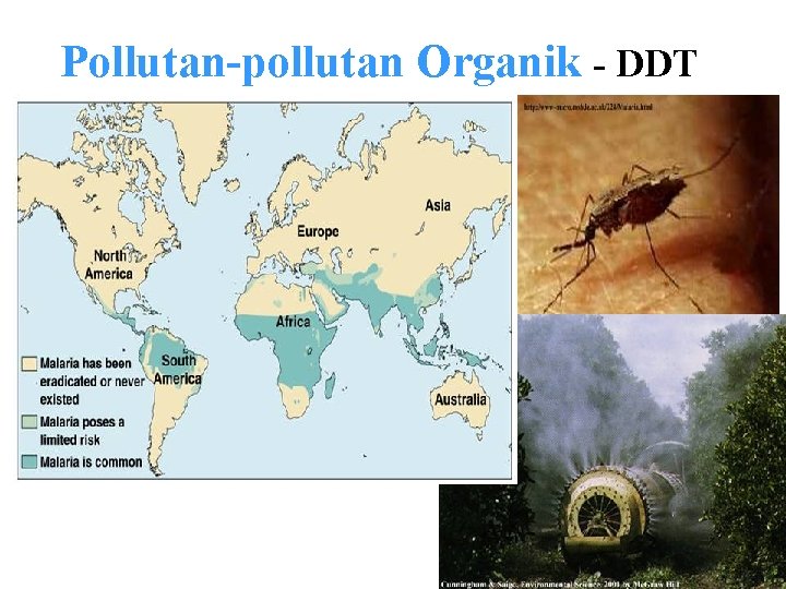 Pollutan-pollutan Organik - DDT 