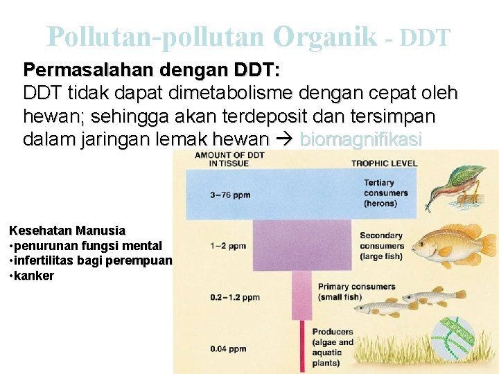 Pollutan-pollutan Organik - DDT Permasalahan dengan DDT: DDT tidak dapat dimetabolisme dengan cepat oleh