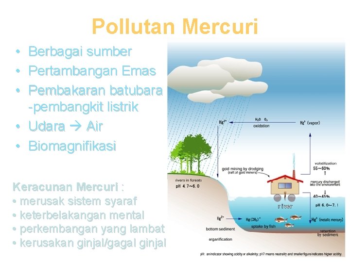 Pollutan Mercuri • • • Berbagai sumber Pertambangan Emas Pembakaran batubara -pembangkit listrik •