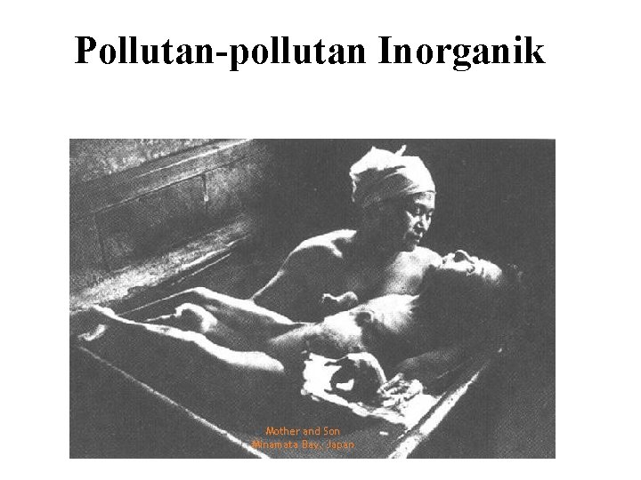 Pollutan-pollutan Inorganik Mother and Son Minamata Bay, Japan 