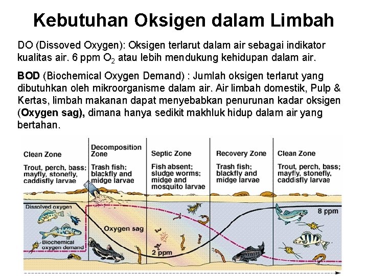 Kebutuhan Oksigen dalam Limbah DO (Dissoved Oxygen): Oksigen terlarut dalam air sebagai indikator kualitas