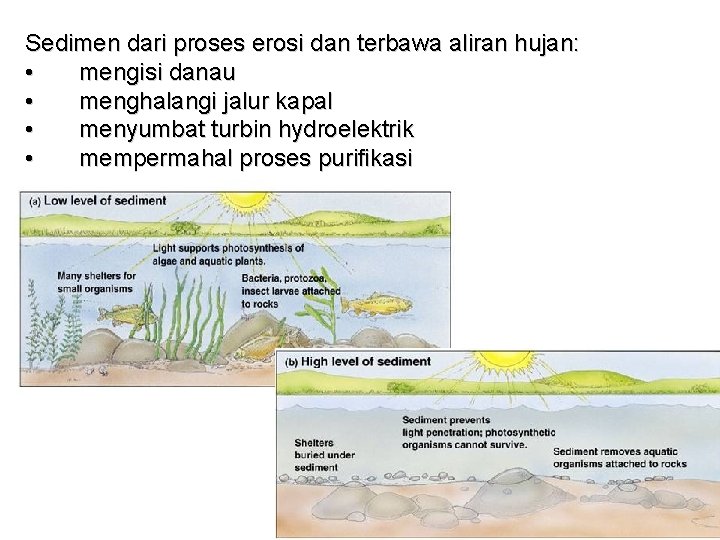Sedimen dari proses erosi dan terbawa aliran hujan: • mengisi danau • menghalangi jalur