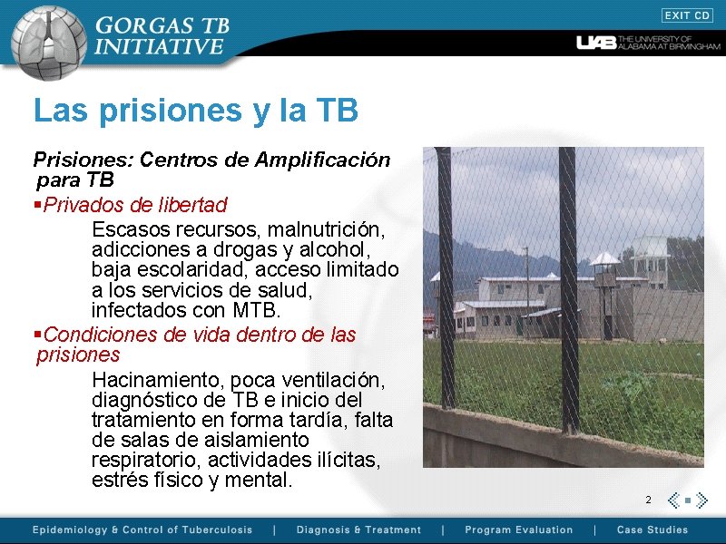 Las prisiones y la TB Prisiones: Centros de Amplificación para TB §Privados de libertad