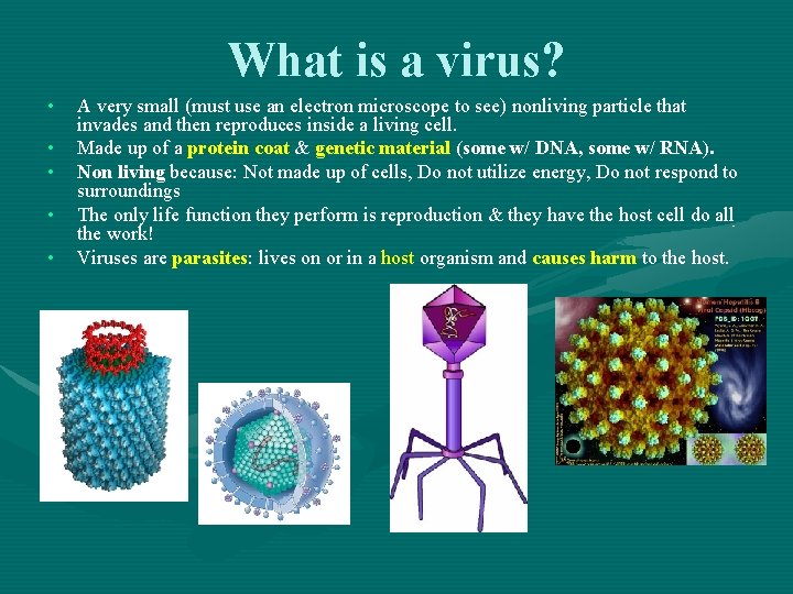 What is a virus? • • • A very small (must use an electron