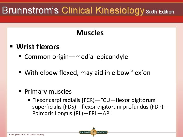 Brunnstrom’s Clinical Kinesiology Sixth Edition Muscles § Wrist flexors § Common origin—medial epicondyle §