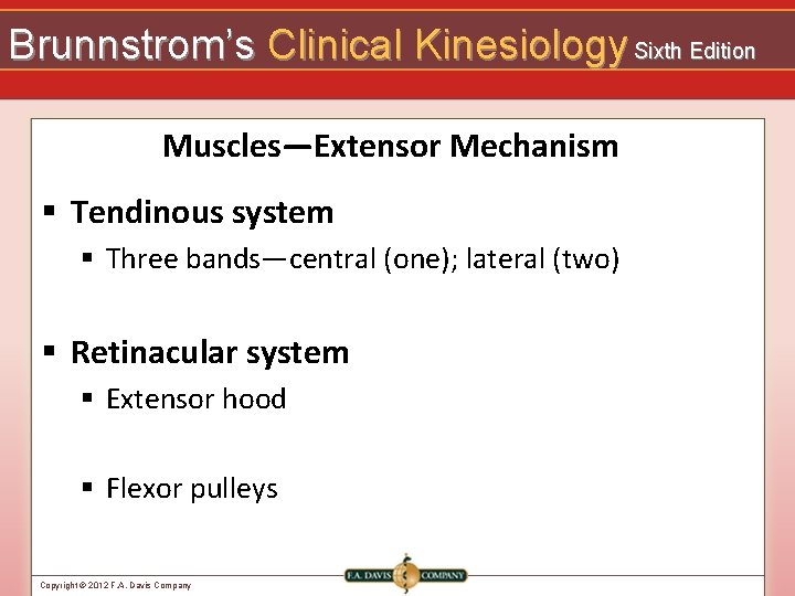 Brunnstrom’s Clinical Kinesiology Sixth Edition Muscles—Extensor Mechanism § Tendinous system § Three bands—central (one);