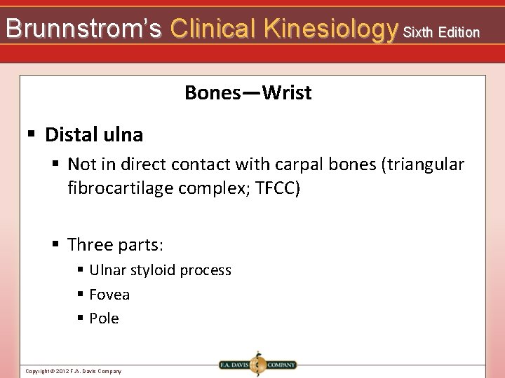 Brunnstrom’s Clinical Kinesiology Sixth Edition Bones—Wrist § Distal ulna § Not in direct contact