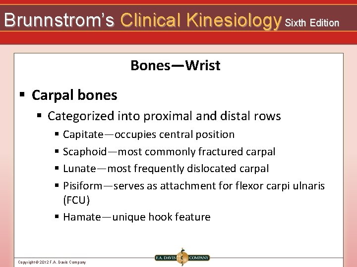 Brunnstrom’s Clinical Kinesiology Sixth Edition Bones—Wrist § Carpal bones § Categorized into proximal and