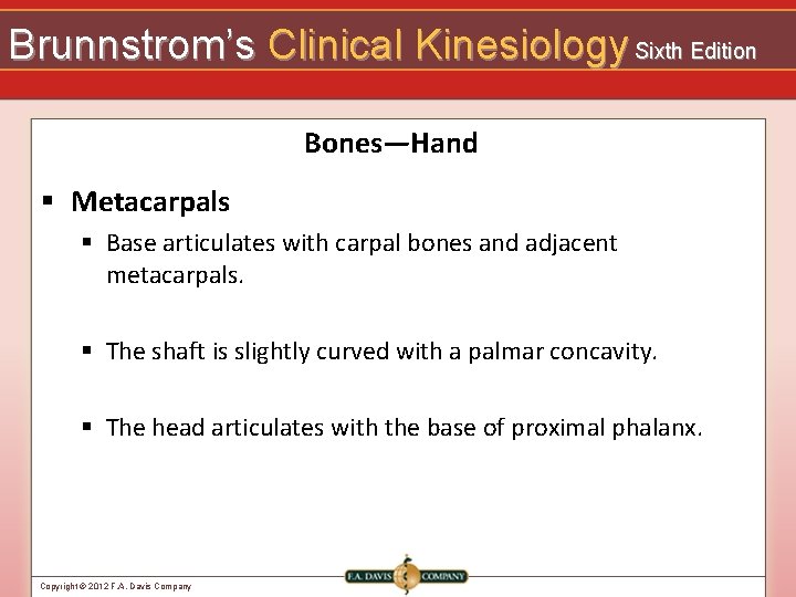 Brunnstrom’s Clinical Kinesiology Sixth Edition Bones—Hand § Metacarpals § Base articulates with carpal bones