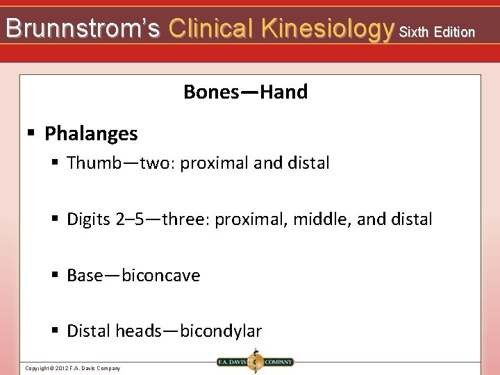 Brunnstrom’s Clinical Kinesiology Sixth Edition Bones—Hand § Phalanges § Thumb—two: proximal and distal §