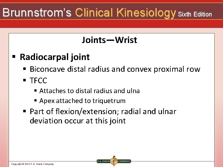 Brunnstrom’s Clinical Kinesiology Sixth Edition Joints—Wrist § Radiocarpal joint § Biconcave distal radius and