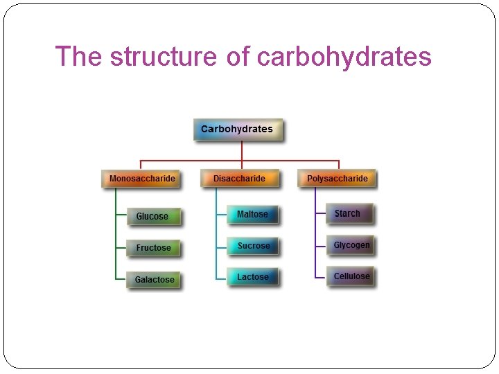 The structure of carbohydrates 