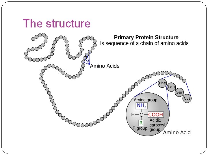 The structure 