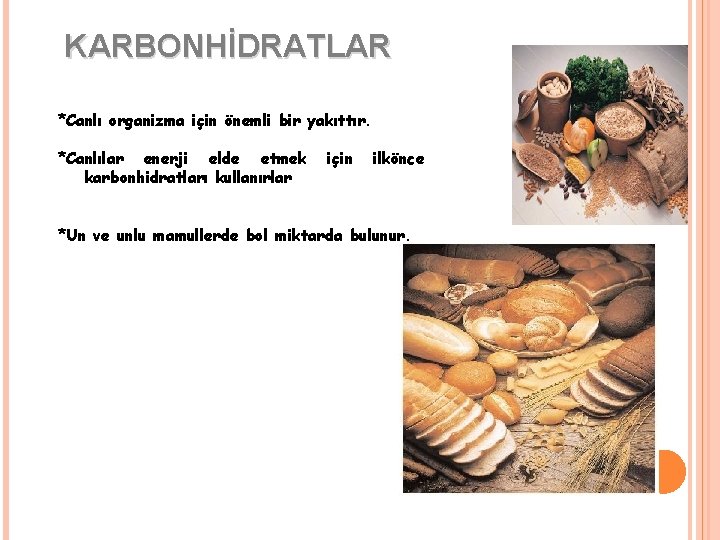 KARBONHİDRATLAR *Canlı organizma için önemli bir yakıttır. *Canlılar enerji elde etmek karbonhidratları kullanırlar için KARBONHİDRATLAR *Canlı organizma için önemli bir yakıttır. *Canlılar enerji elde etmek karbonhidratları kullanırlar için
