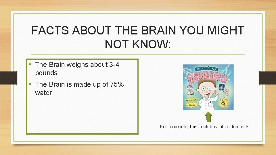 FACTS ABOUT THE BRAIN YOU MIGHT NOT KNOW: • The Brain weighs about 3