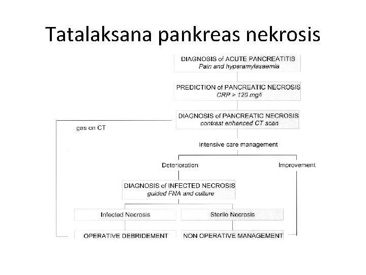 Tatalaksana pankreas nekrosis 