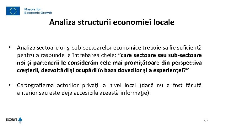 Analiza structurii economiei locale • Analiza sectoarelor şi sub-sectoarelor economice trebuie să fie suficientă
