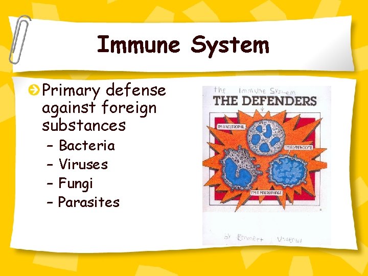 Immune System Primary defense against foreign substances – – Bacteria Viruses Fungi Parasites 