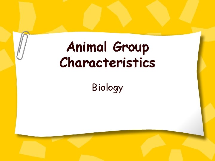 Animal Group Characteristics Biology 