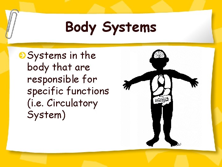 Body Systems in the body that are responsible for specific functions (i. e. Circulatory