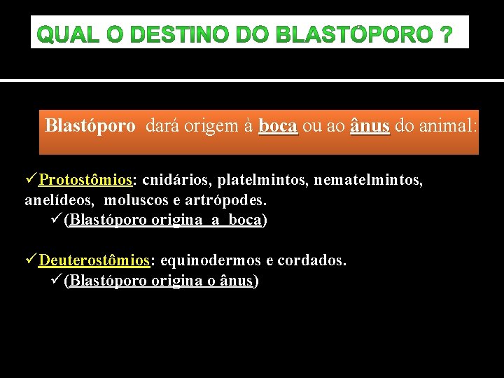 Blastóporo dará origem à boca ou ao ânus do animal: üProtostômios: cnidários, platelmintos, nematelmintos,