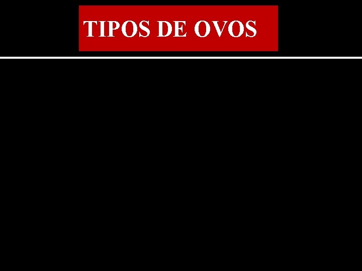 TIPOS DE OVOS 