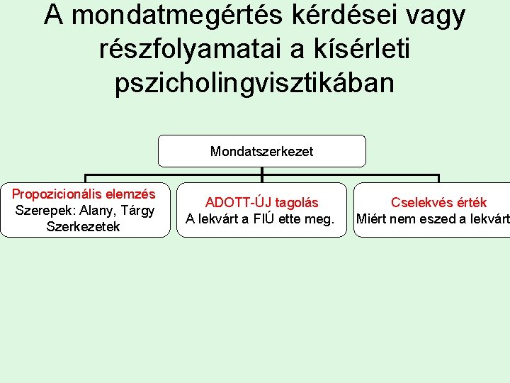 A mondatmegértés kérdései vagy részfolyamatai a kísérleti pszicholingvisztikában Mondatszerkezet Propozicionális elemzés Szerepek: Alany, Tárgy