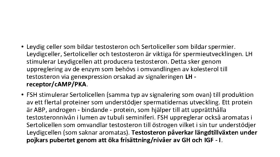  • Leydig celler som bildar testosteron och Sertoliceller som bildar spermier. Leydigceller, Sertoliceller