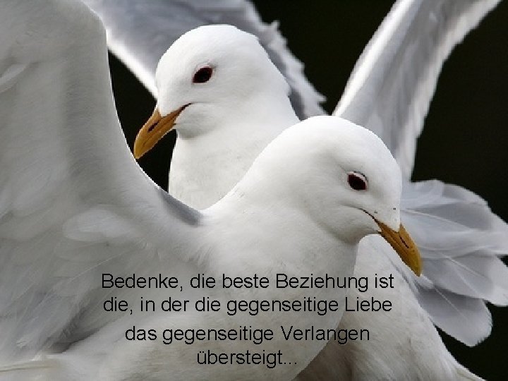 Bedenke, die beste Beziehung ist die, in der die gegenseitige Liebe das gegenseitige Verlangen