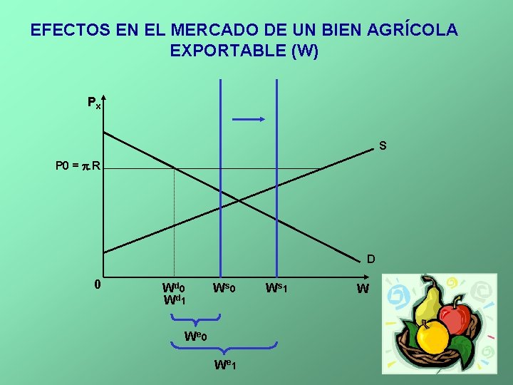 EFECTOS EN EL MERCADO DE UN BIEN AGRÍCOLA EXPORTABLE (W) Px S P 0